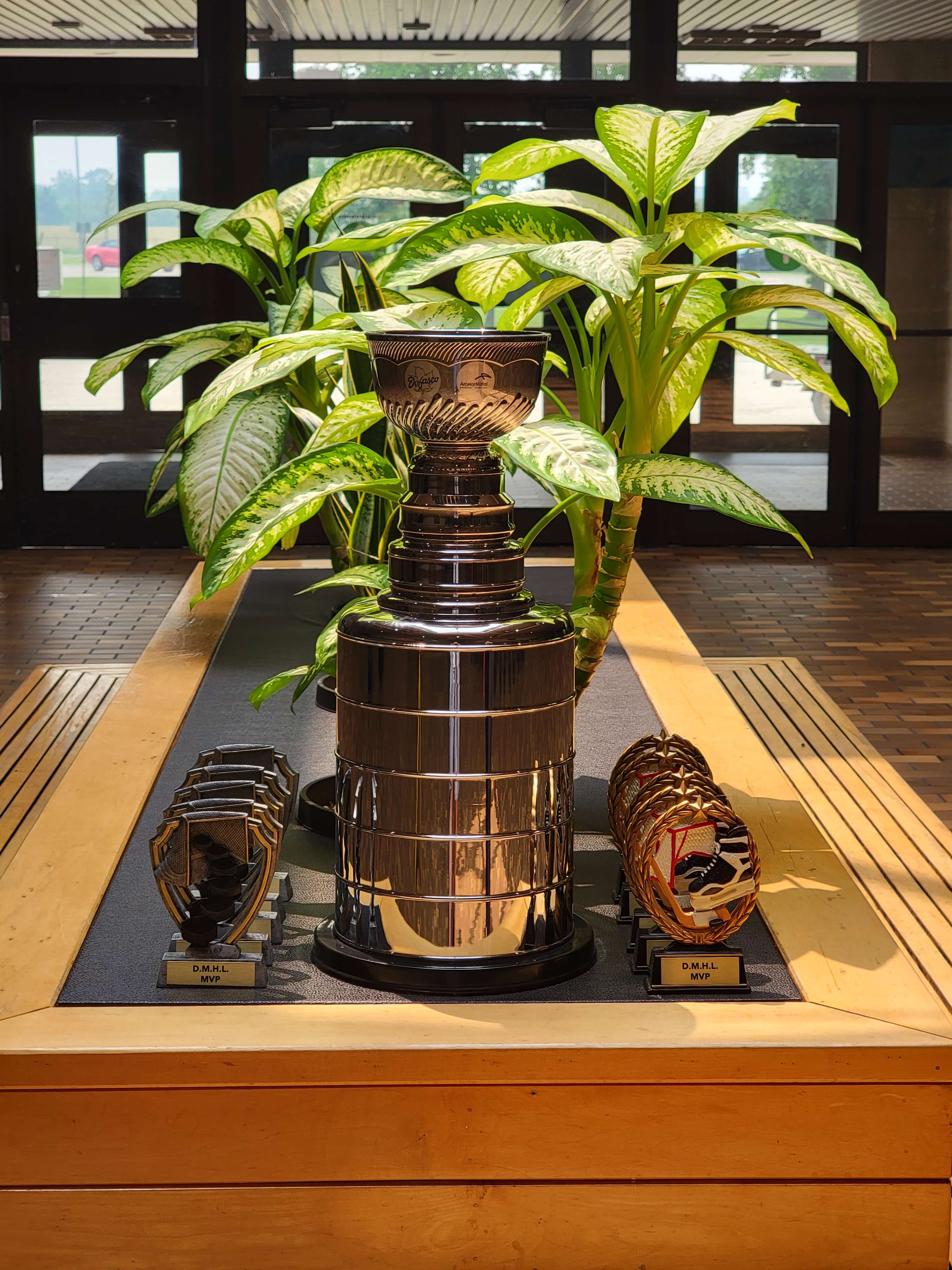 Dofasco_Stanely_Cup_with_MVP_Trophies.jpg